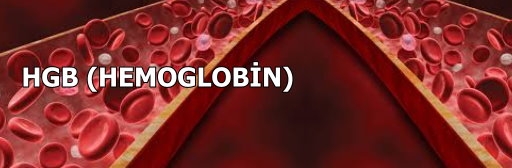 Hemoglobin Nedir?