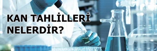 Kan Tahlilleri Nelerdir?