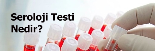 Seroloji Testi Nedir?