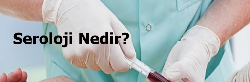 Seroloji Nedir?