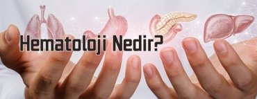 Hematoloji Nedir?