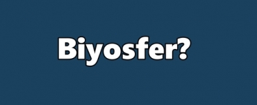 Biyosfer nedir?