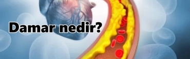 Damar nedir?