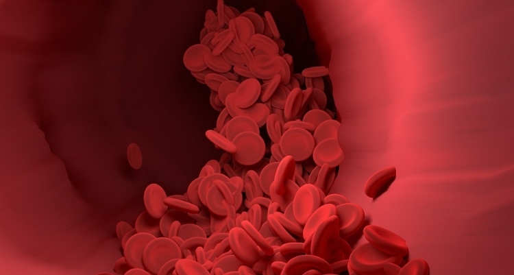 Hematoloji Nedir?