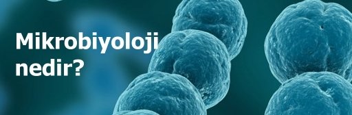 Mikrobiyoloji Nedir?